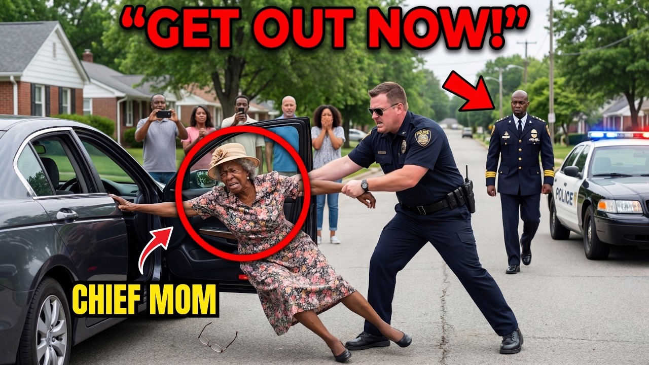 Cop Dragged Black Elderly Woman Out — Turns Out She Was Police Chief’s Mother