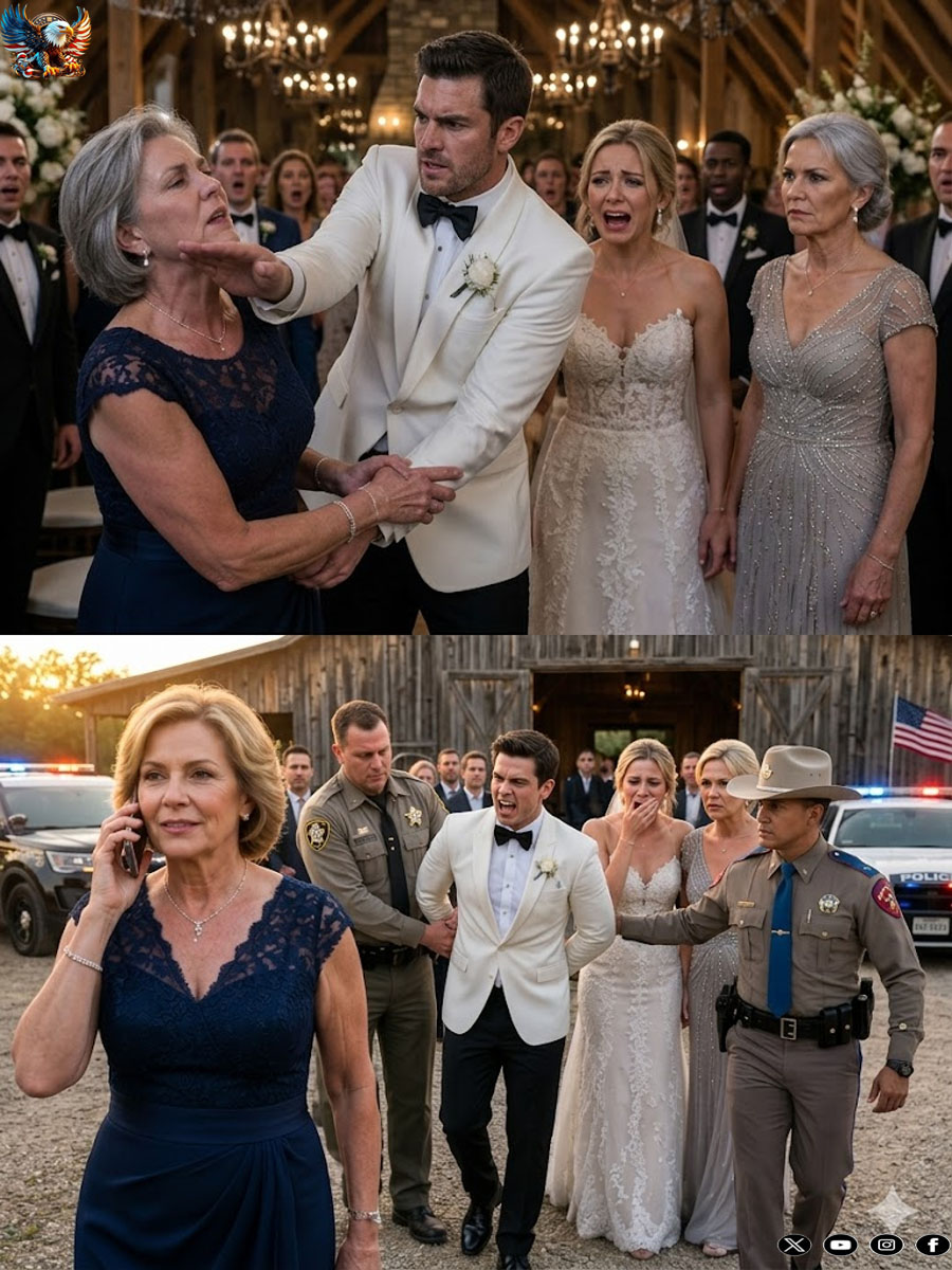 At my daughter’s wedding, my son-in-law demanded that I hand over the farm keys in front of two hundred guests. When I refused, he slapped me so hard I lost my balance. I walked outside and made a phone call… he was stunned when he saw who it was!