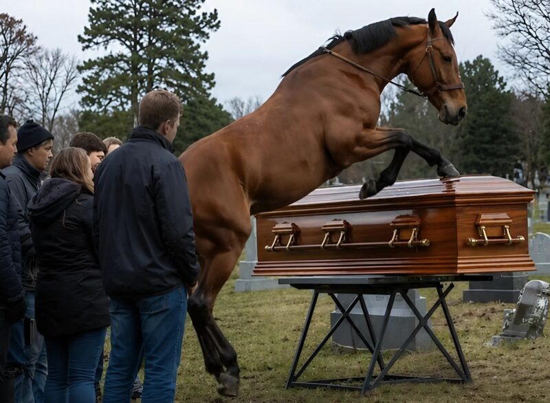 During the funeral of a 60-year-old farmer, his loyal horse burst into the cemetery while several men tried to stop the crazed animal, and then began furiously striking the coffin lid with its hooves: everyone present froze in horror when the lid cracked open and they saw what was hidden inside
