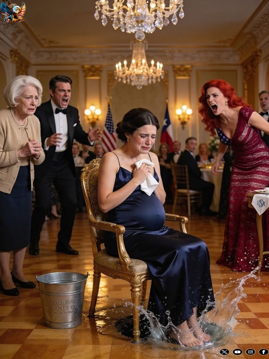 I never told my ex-husband and his wealthy family I secretly owned their employer’s billion-dollar company. They believed I was a poor pregnant burden. At dinner, my ex-mother-in-law “accidentally” dumped ice water on me to emba:rrass me.