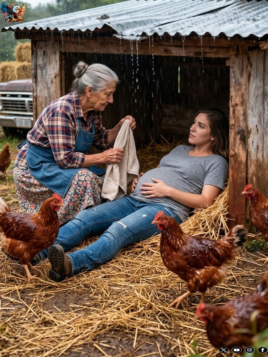 When a widow found a young pregnant woman sleeping under her chicken coop, she didn’t know that the war in her house that night had only just begun…