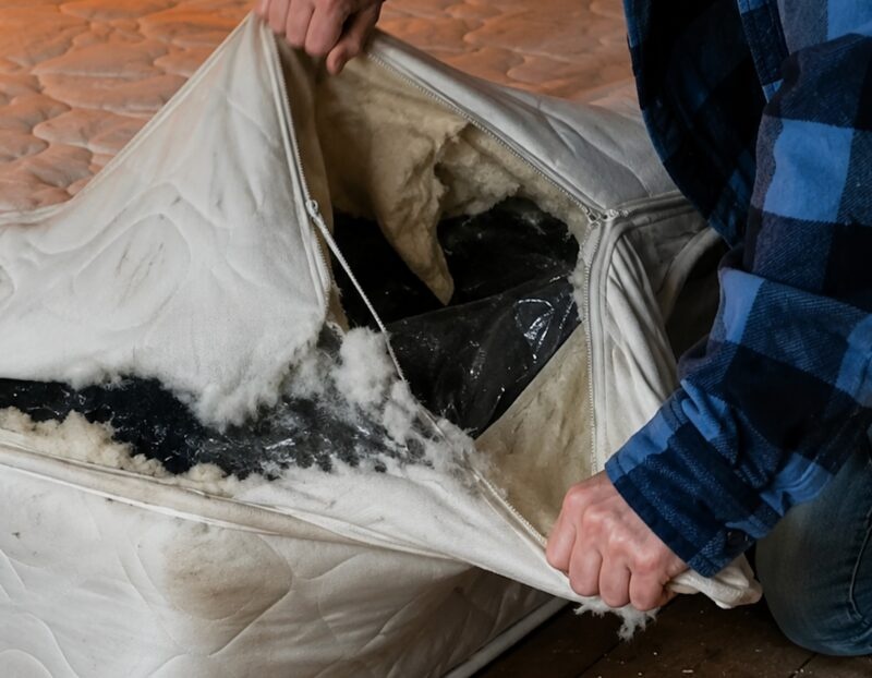 My back started hurting badly because of a new mattress, so I decided to cut it open and see what was inside: beneath the cover were several black packages, and when I opened one of them, I dropped it in horror and immediately called the police