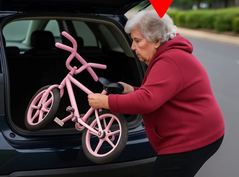 My mother-in-law gave her granddaughter an expensive bike, but took it back a few days later — so I decided to teach her a harsh lesson